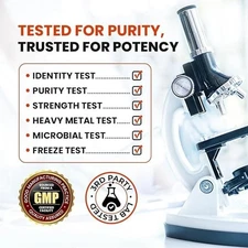 Himalayan Shilajit Honey Sticks | 75%+ Fulvic Acid and Trace Minerals | 10 Pr