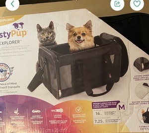 trusty pup easy explorer