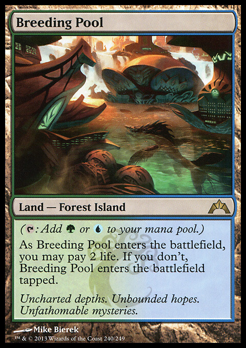 MTG Magic the Gathering Breeding Pool (240/257) Gatecrash LP