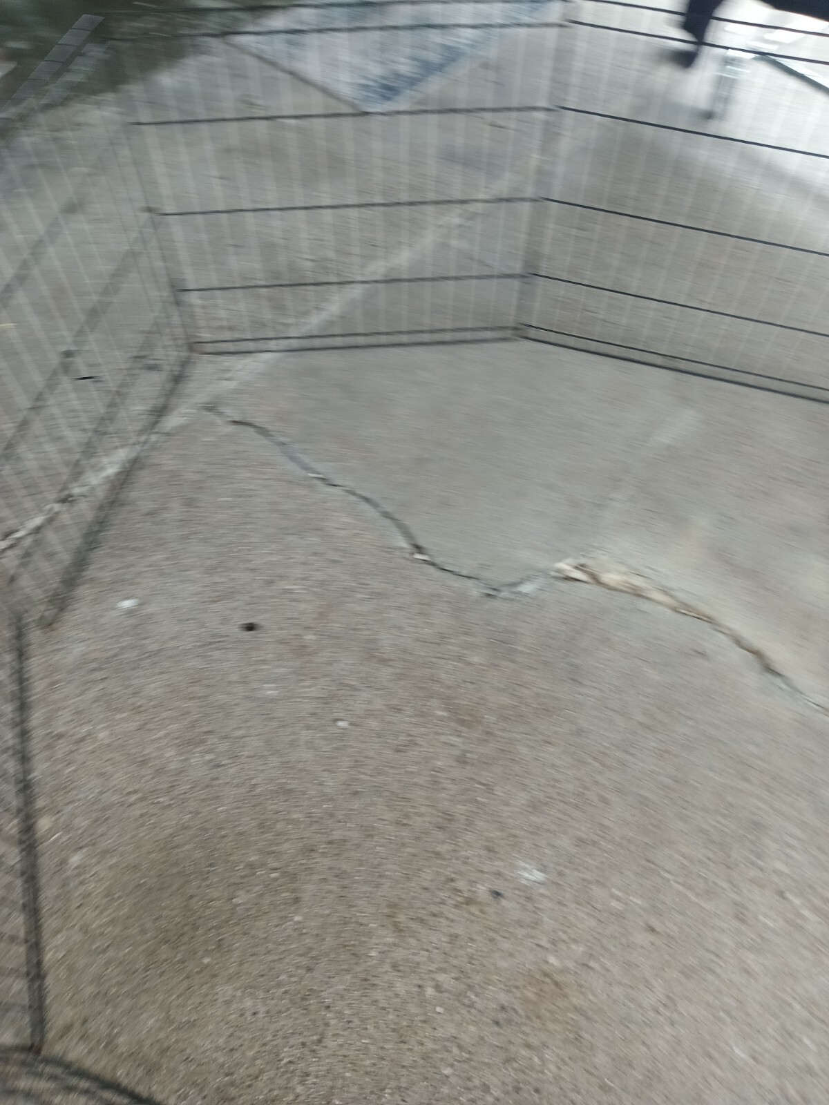 Picture 3 of 12