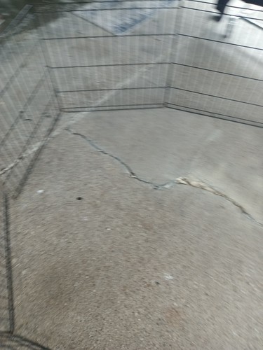 Doggie Play Pin Keep your Fur Babies Safe - Picture 3 of 12