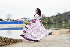 Rococo Ball Victorian Exquisite Handcrafted Marie Antoinette Inspired Court Gown