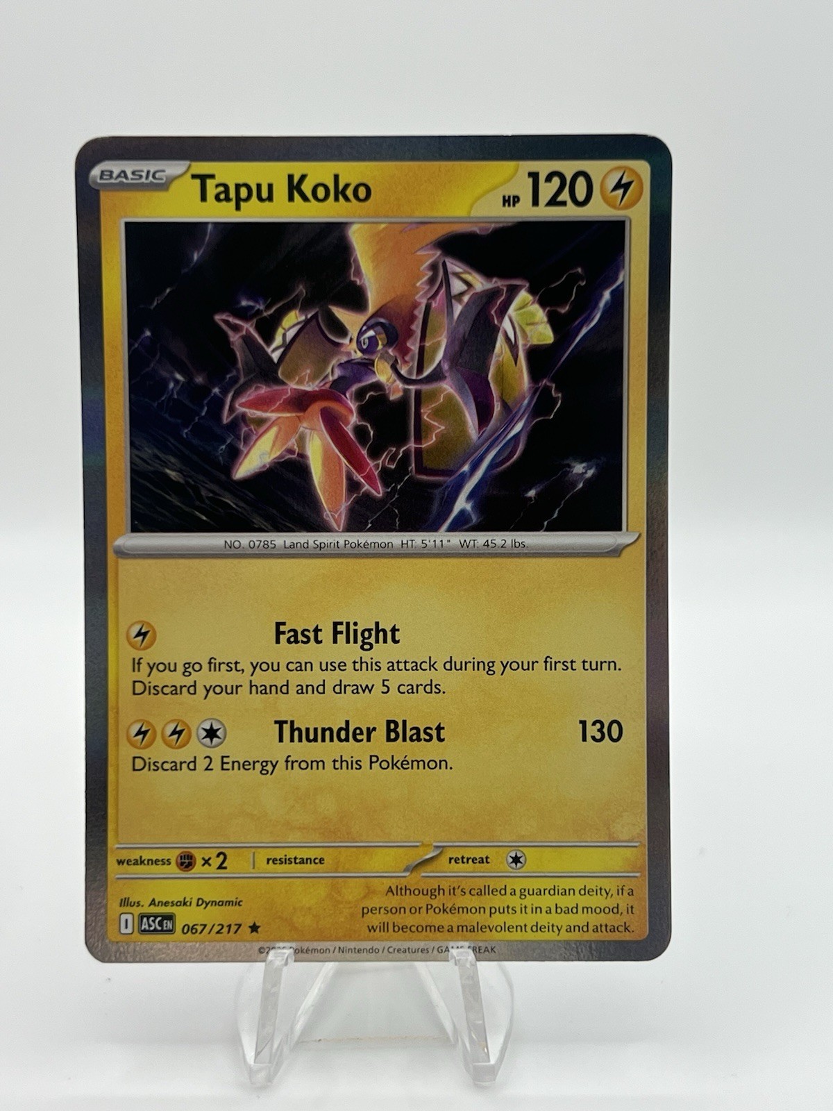 Tapu Koko 67/217 Holo Ascended Heroes  Pokemon NM