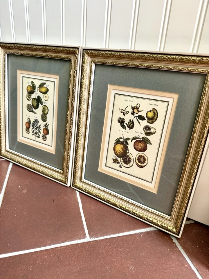 PAR Ilustraciones BOTÁNICAS Vintage DECORACIÓN DE PARED MADERA. Alfombrilla personalizada para marco Foto 2 de 4