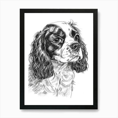 Cavalier King Charles Hund Linie Skizze gerahmt Wandbild Poster Leinwanddruck Bild