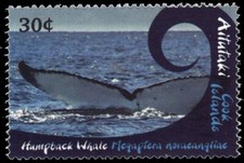 AITUTAKI 582 - Humpback Whale 