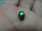 Foto 6 di 12