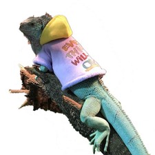 Lizard Clothes Bearded Dragon Hoodie Cotton Reptile Apparel Skin Protection