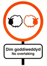 COMIC POSTCARD  CAR SIGNS NO OVERTAKING  CONTINENTAL SIZE   GOOD PLUS VERY GOOD