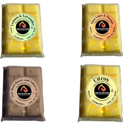 4 x Wax Melts Handmade Riegel stark duftend 25g Fruchtdüfte vegan