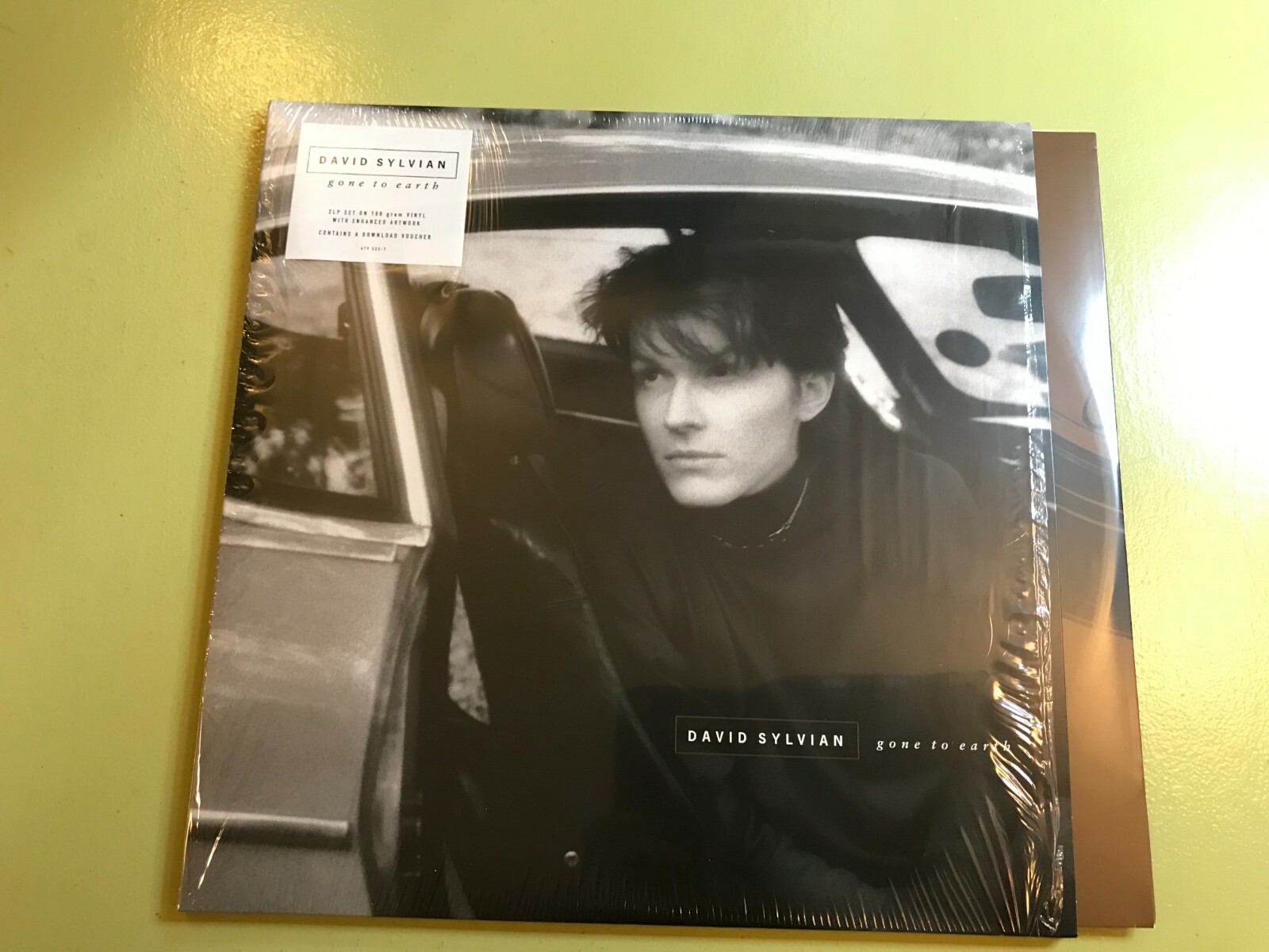 David Sylvian Gone To Earth Vinyl Double Re W Shrink Dl Card Album 2 Lp 19 Nm Ebay