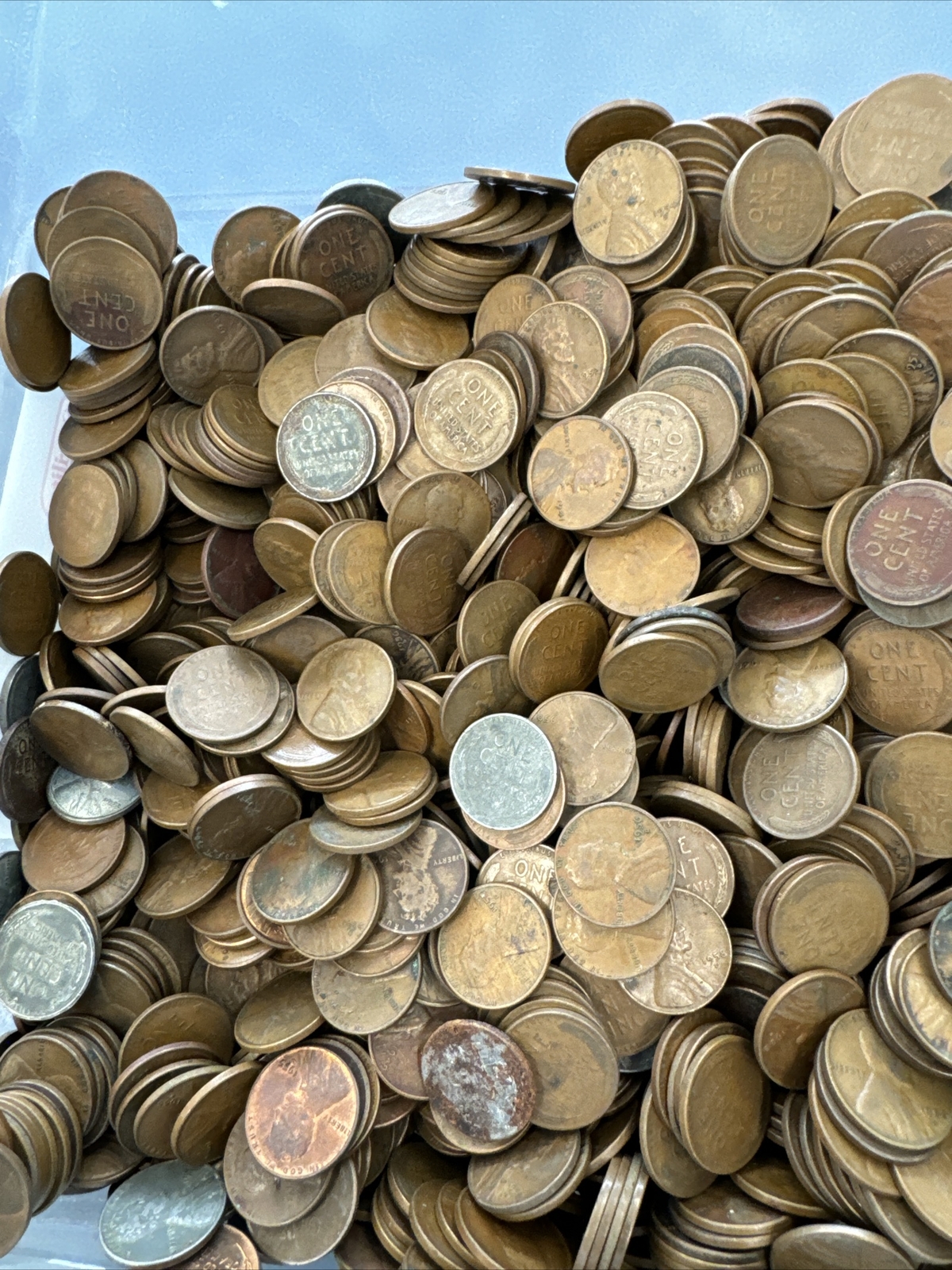 Bag of 5000 1909 1958 Wheat Cents Unsearched Coin Shop Hoard 8 eBay