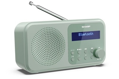 Sharp DR-P420 DAB+ Digitalradio Bluetooth Lautsprecher UKW DAB Wecker Dual-Alarm
