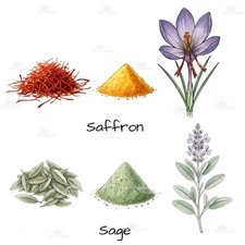 Kitchen Spices Illustrations Watercolor Digital Download Clipart PNG