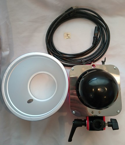 Paul C Buff ~ Alien Bees ~ B800 ~ 320WS ~ Pro Photoflash ~ Martian Pink~ WYSIWYG