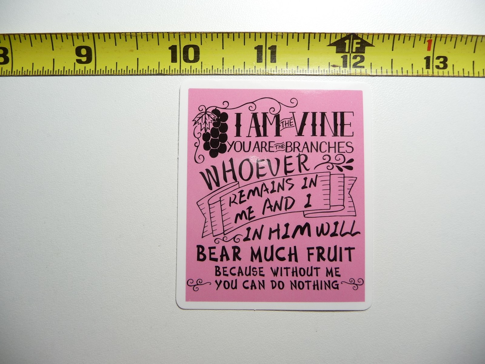 I Am the Vine You Are the Branches Christian Church Faith Religion Christianity