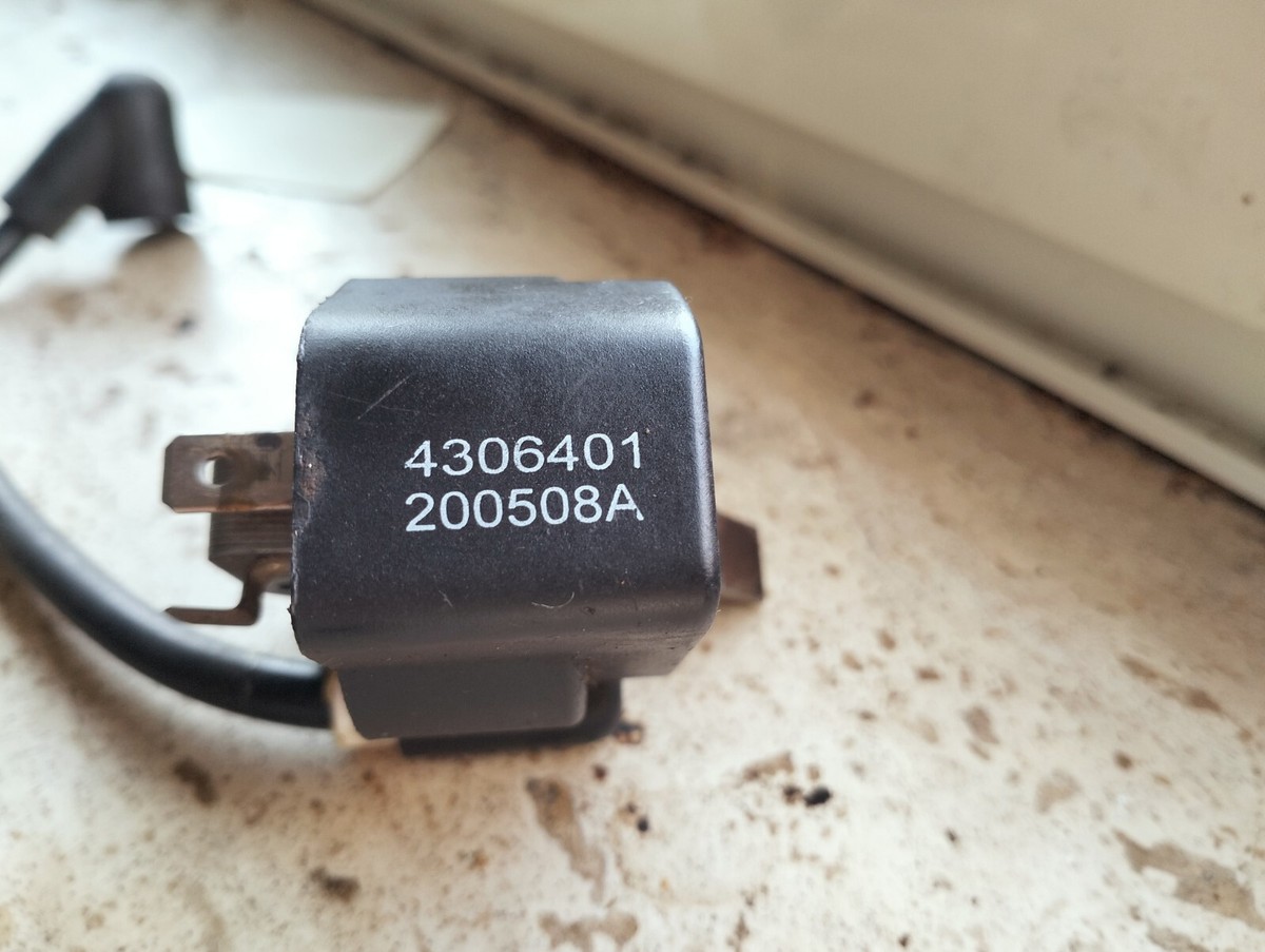 Bobina Di Accensione Homelite/Ryobi 309263002 - OEM Per RY4CSS E S430 (Usata)