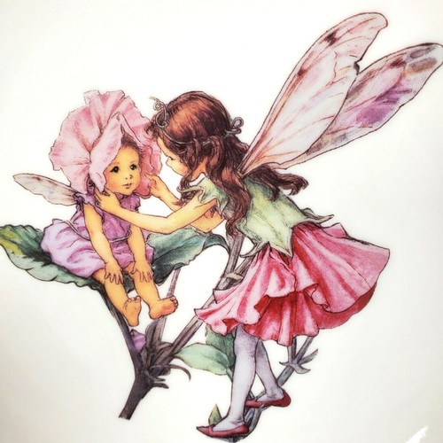Colección Flower Fairies Frederick Warne C.M Barker Reutter Porcelana Alemania - Imagen 2 de 9
