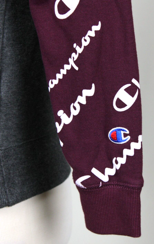 Champion Boy's Athletic Wear Pullover Graphic Hoodie Size Medium Maroon & Gray - Picture 4 of 4
