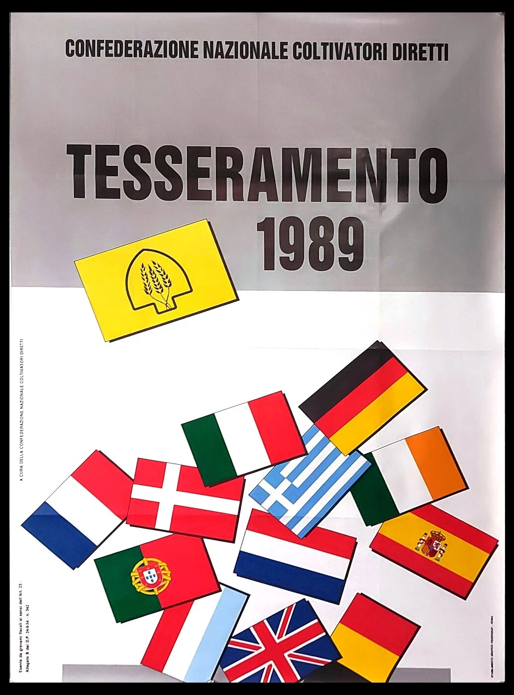 Foto 1 di 5