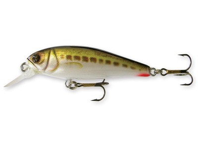 Esca Da Pesca GREEN SPIDER Crankbait 55mm 7,5g - Esche Affondabili A Forma Di Pesce Rosso Per Bass