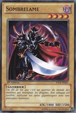 Yu-Gi-Oh: Shadowlame - YSYR-FR007 - Commune - NM - FR