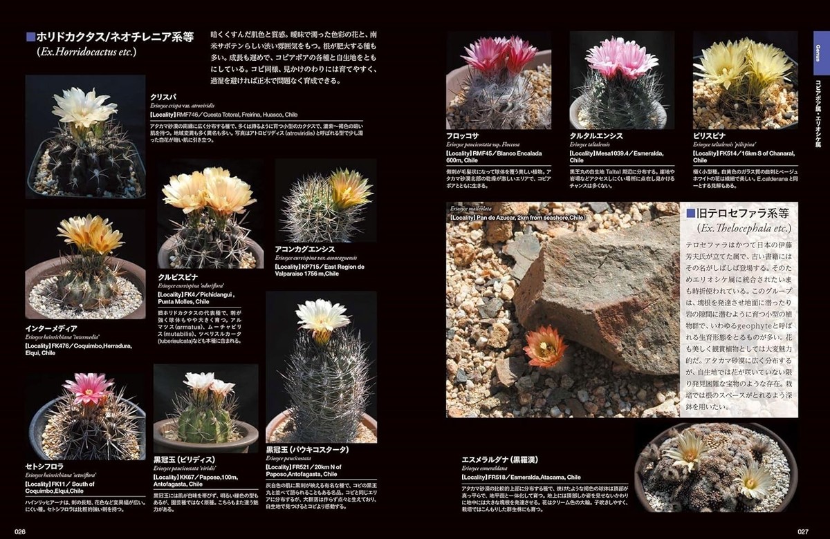 サボテン全書 All about CACTUS Cactus New Encyclopedia Book Comprehensive Guide to Cacti