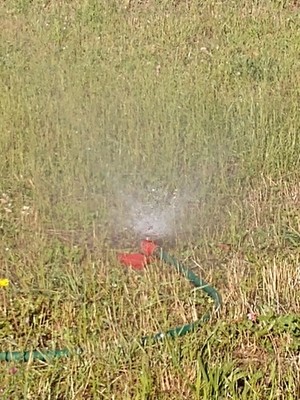 Vintage RED Square Spray Lawn Sprinkler  'It Gets The Corners' Metal Squarespray