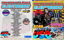 PUROS HITS DE LA MUSICA ELECTRONICA USB