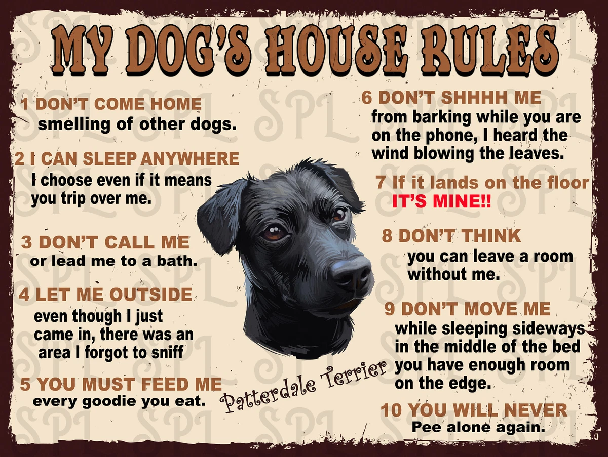 Dog house store rules