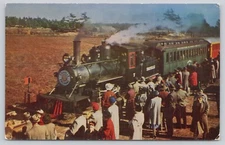Postcard Train Cranberry Bogs South Carver Massachusetts