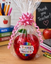 Thanks Amazing Teacher Apple Jar Sweets Gift Present Bow Hamper Box Teacher Gift