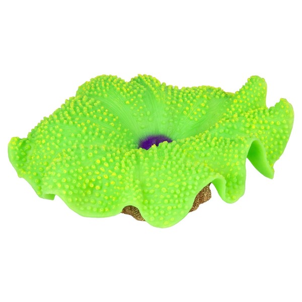 Aqua Della Anemone Teppich GrüN 18X16X5 Cm Aquarium Kunststoffpflanze Deko-image