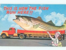 1965 Comic fishing exaggeration FISH ON TRANSPORT TRUCK WITH FISHERMAN AC0204