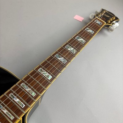 Ibanez AF105-LBK o8666 | eBay