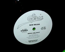 New Musik ‎While You Wait 12" Vinyl Record Synth-Pop New Wave Promo 1981