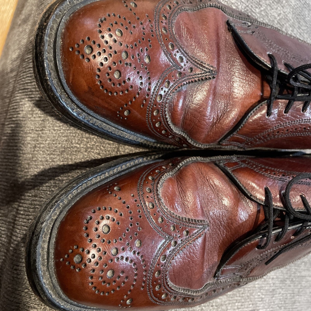 靴 Regal Wing Tip Shoes Regal Wingtips - Harrison Blake Apparel