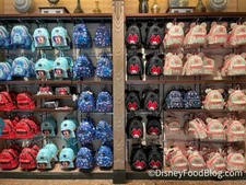 Lounge Fly & Bio World Bags