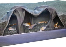 Aquarium Underground Cave Natural Mangrove Tree Viewing Fish under Gravel Tunnel