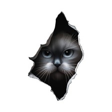 Grey Cat Peeking Through Hole in Wall - Wall Decal High Quality Removable Vinyl