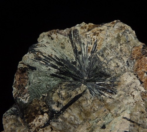 AEGIRINE "sun crystals" & EUDIALYTE --- Russia KOLA PENINSULA Lovoziero /pg443 - Picture 16 of 17