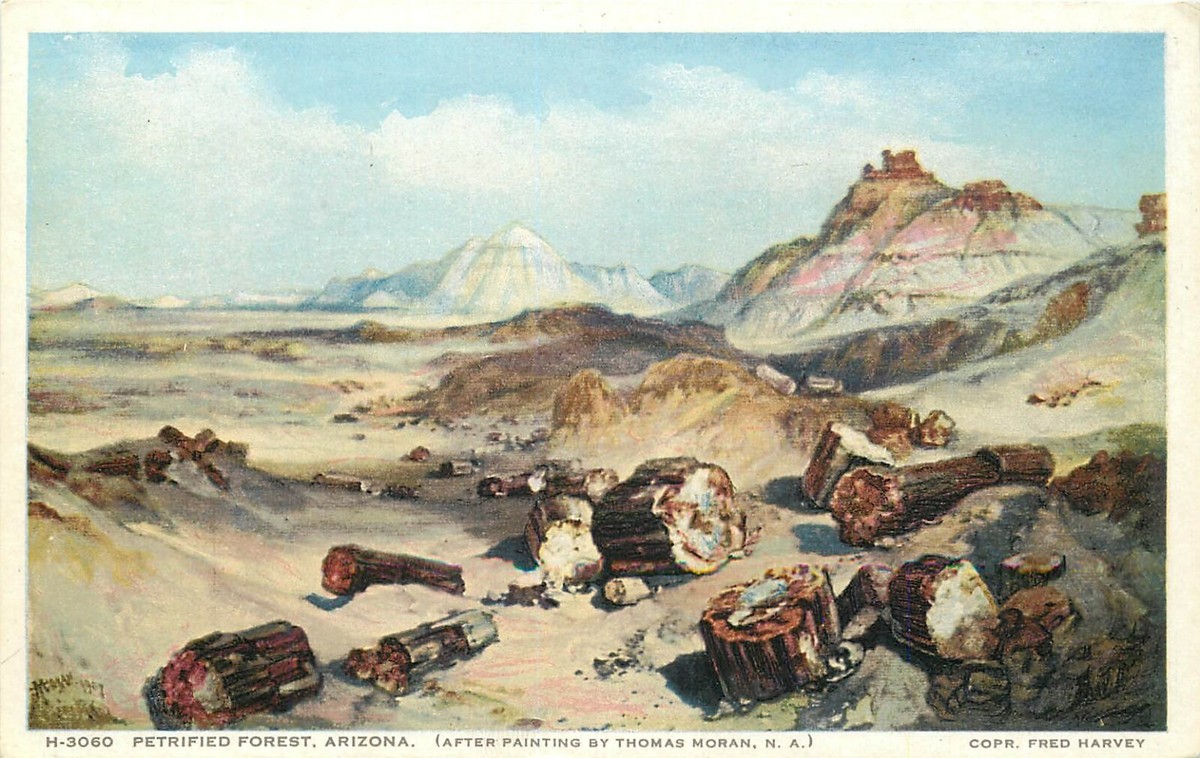 DB Postcard AZ Da282 Petrified Forest After Painting by Thomas