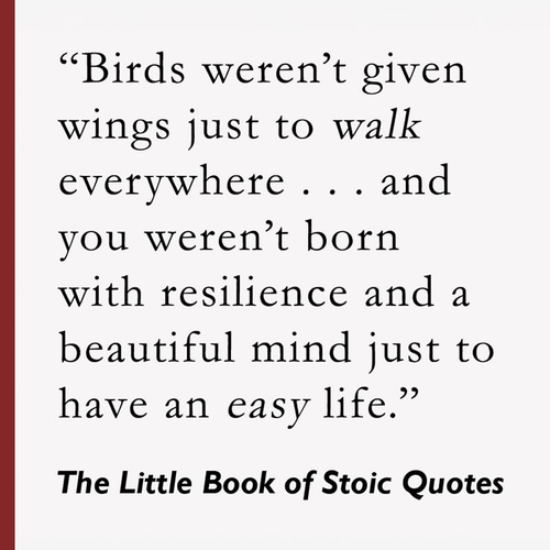 The Little Book of Stoic Quotes: Philosophy for a Meaningful and Courageous Life - Imagen 8 de 12
