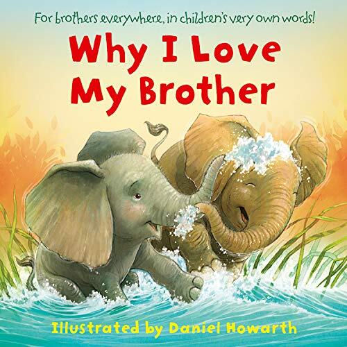 Why I Love My Brother By Daniel Howarth
