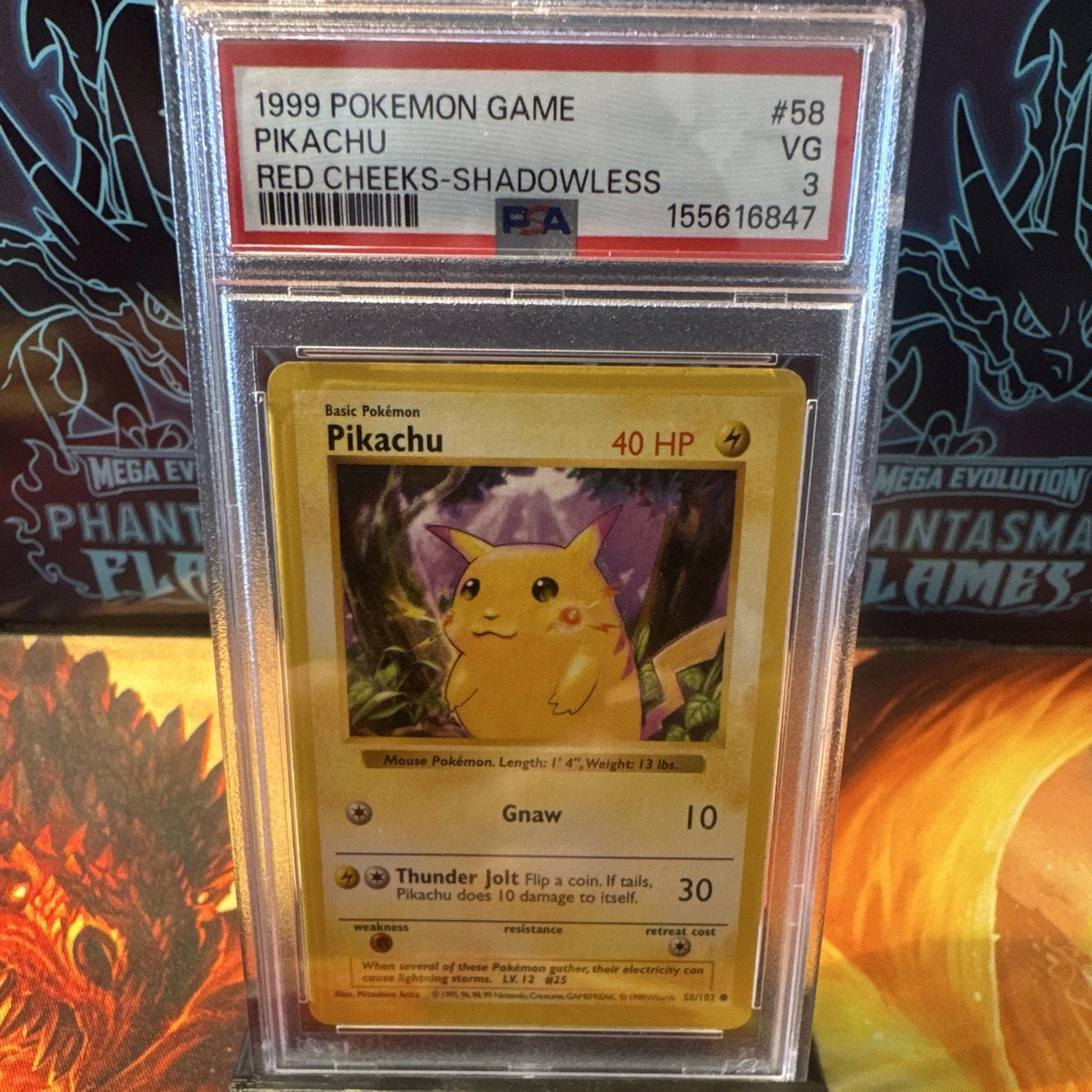 Wizards of the Coast Pikachu Pokémon TCG Professional Sports
