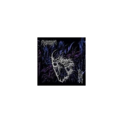 SPECTRAL VOICE: ERODED CORRIDORS OF UNBEING - LP vinyl *BRAND NEW*