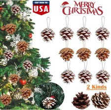 32  Christmas White Natural Pine Cones Rustic Pinecones Bulk Xmas Tree Ornaments