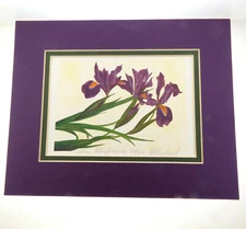 Iris Wild Flower Print Signed Lithograph Ltd Edition 621*622/1000 M Naslund