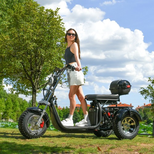 Max Loda 250KG Electric Tricycle Aldult Fat Tire Scooter 2000W Max Speed 45KM/H - Picture 2 of 24