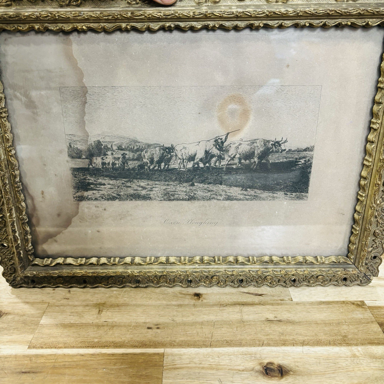 Antique Wooden Frame Gold Ornate Carved Wood Glass 15.5” x 11.5” Art Photograph